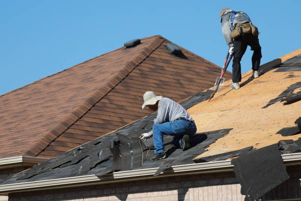 Best Gutter Installation and Repair  in Pearson, GA