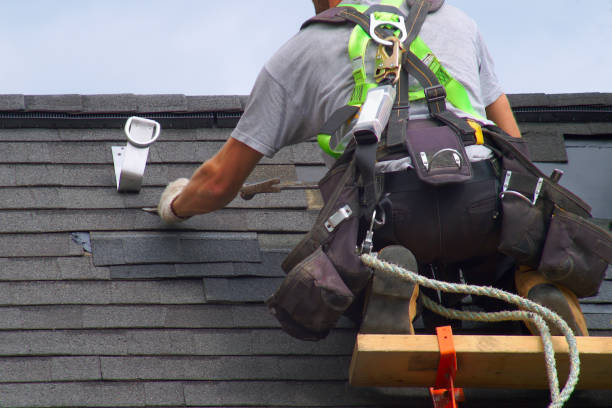 Best Roof Insulation Installation  in Pearson, GA